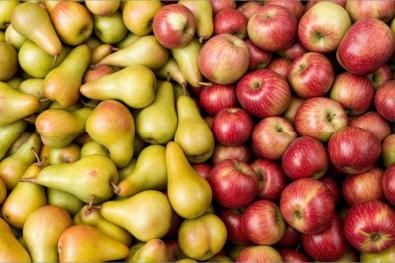 SAF Fruit